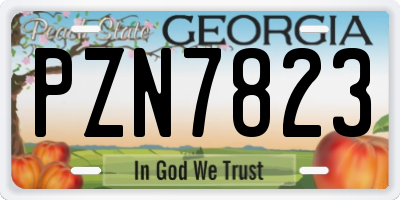 GA license plate PZN7823