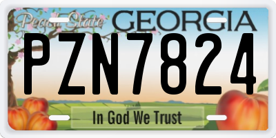 GA license plate PZN7824