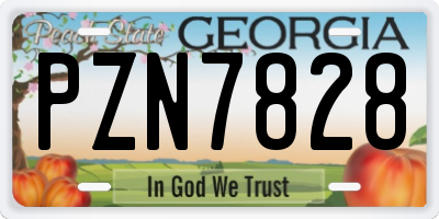 GA license plate PZN7828