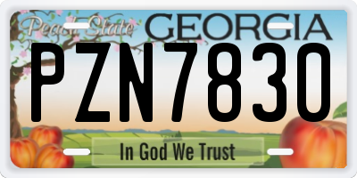 GA license plate PZN7830