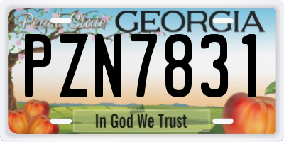 GA license plate PZN7831