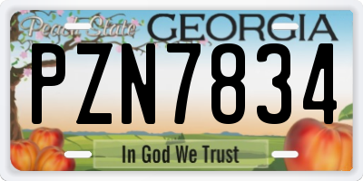 GA license plate PZN7834