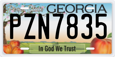 GA license plate PZN7835