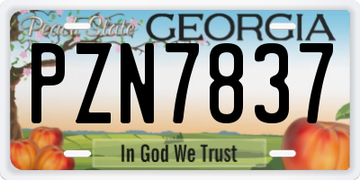 GA license plate PZN7837