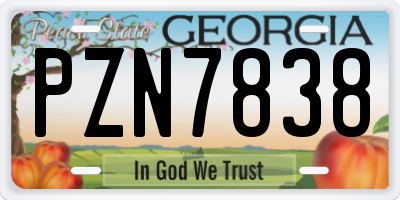 GA license plate PZN7838