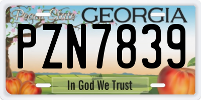 GA license plate PZN7839