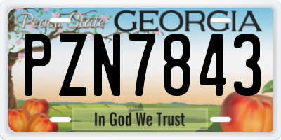 GA license plate PZN7843