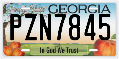 GA license plate PZN7845