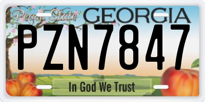 GA license plate PZN7847
