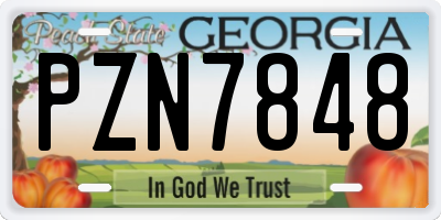 GA license plate PZN7848