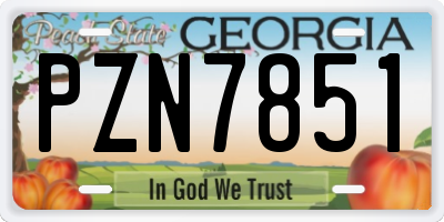 GA license plate PZN7851