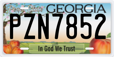 GA license plate PZN7852