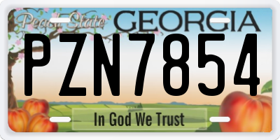 GA license plate PZN7854