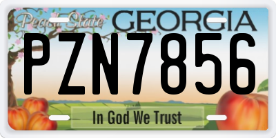 GA license plate PZN7856