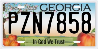 GA license plate PZN7858