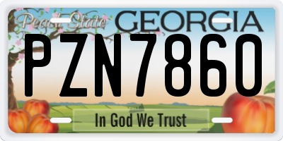 GA license plate PZN7860