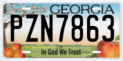 GA license plate PZN7863