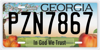 GA license plate PZN7867