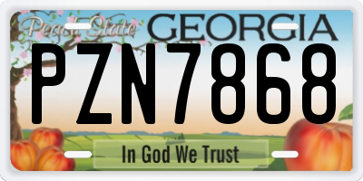 GA license plate PZN7868