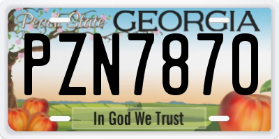 GA license plate PZN7870