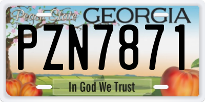 GA license plate PZN7871