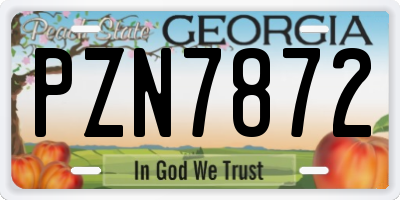 GA license plate PZN7872