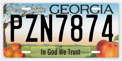 GA license plate PZN7874