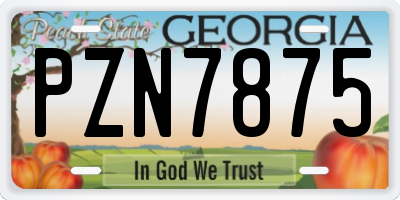 GA license plate PZN7875