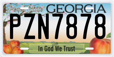 GA license plate PZN7878