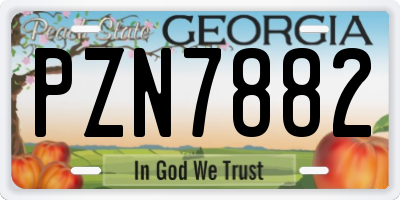 GA license plate PZN7882