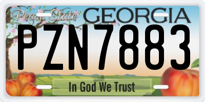 GA license plate PZN7883