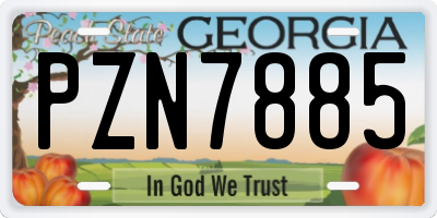 GA license plate PZN7885