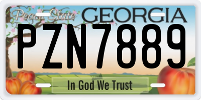 GA license plate PZN7889