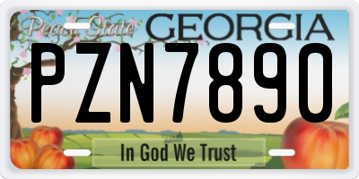 GA license plate PZN7890