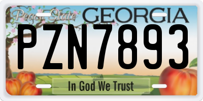 GA license plate PZN7893