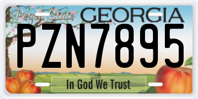 GA license plate PZN7895