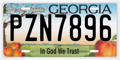 GA license plate PZN7896