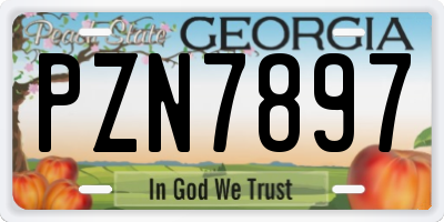 GA license plate PZN7897