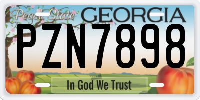 GA license plate PZN7898