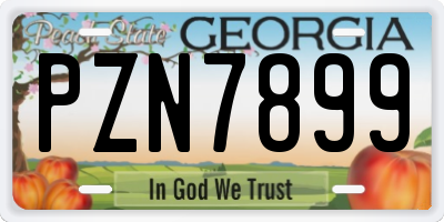 GA license plate PZN7899