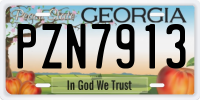 GA license plate PZN7913