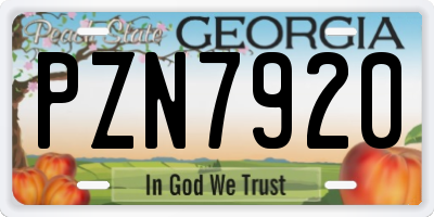 GA license plate PZN7920