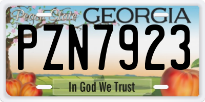 GA license plate PZN7923