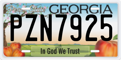 GA license plate PZN7925