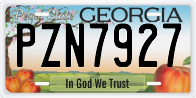 GA license plate PZN7927
