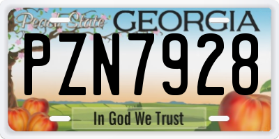 GA license plate PZN7928