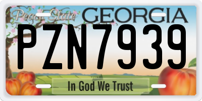 GA license plate PZN7939