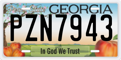 GA license plate PZN7943