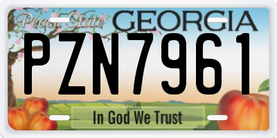 GA license plate PZN7961