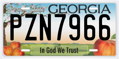 GA license plate PZN7966